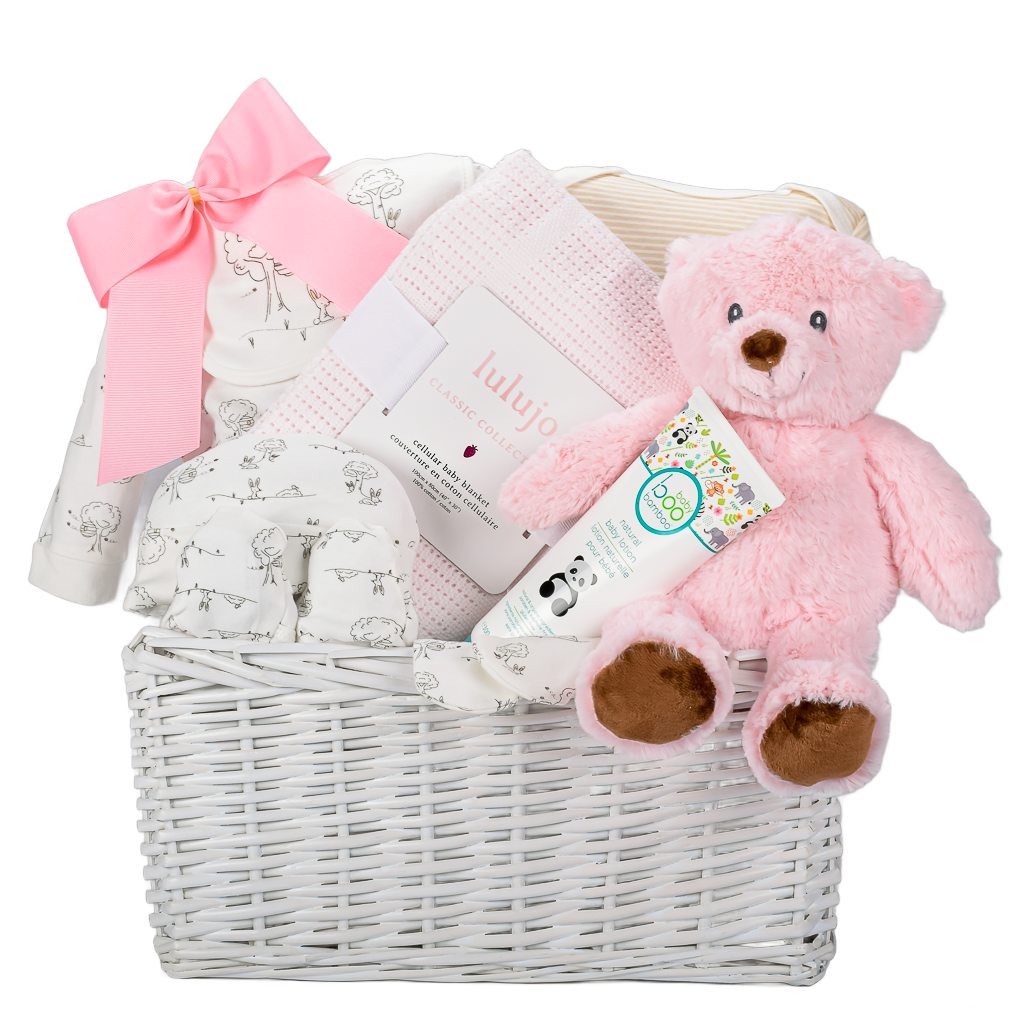 Welcome Baby Girl Gift Large